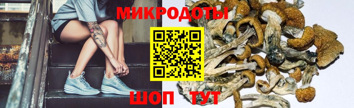 Ишимбай  Псилоцибиновые грибы мухоморы  Вход с VPN 
